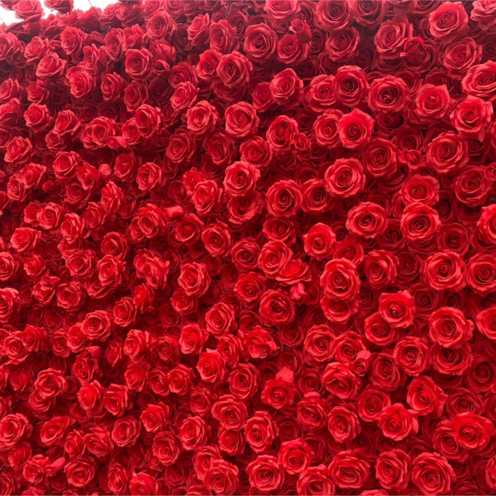 Uflower Red Rose 5D Cloth Flow - Wedding Backdrop Curtain 리뷰 및 가격