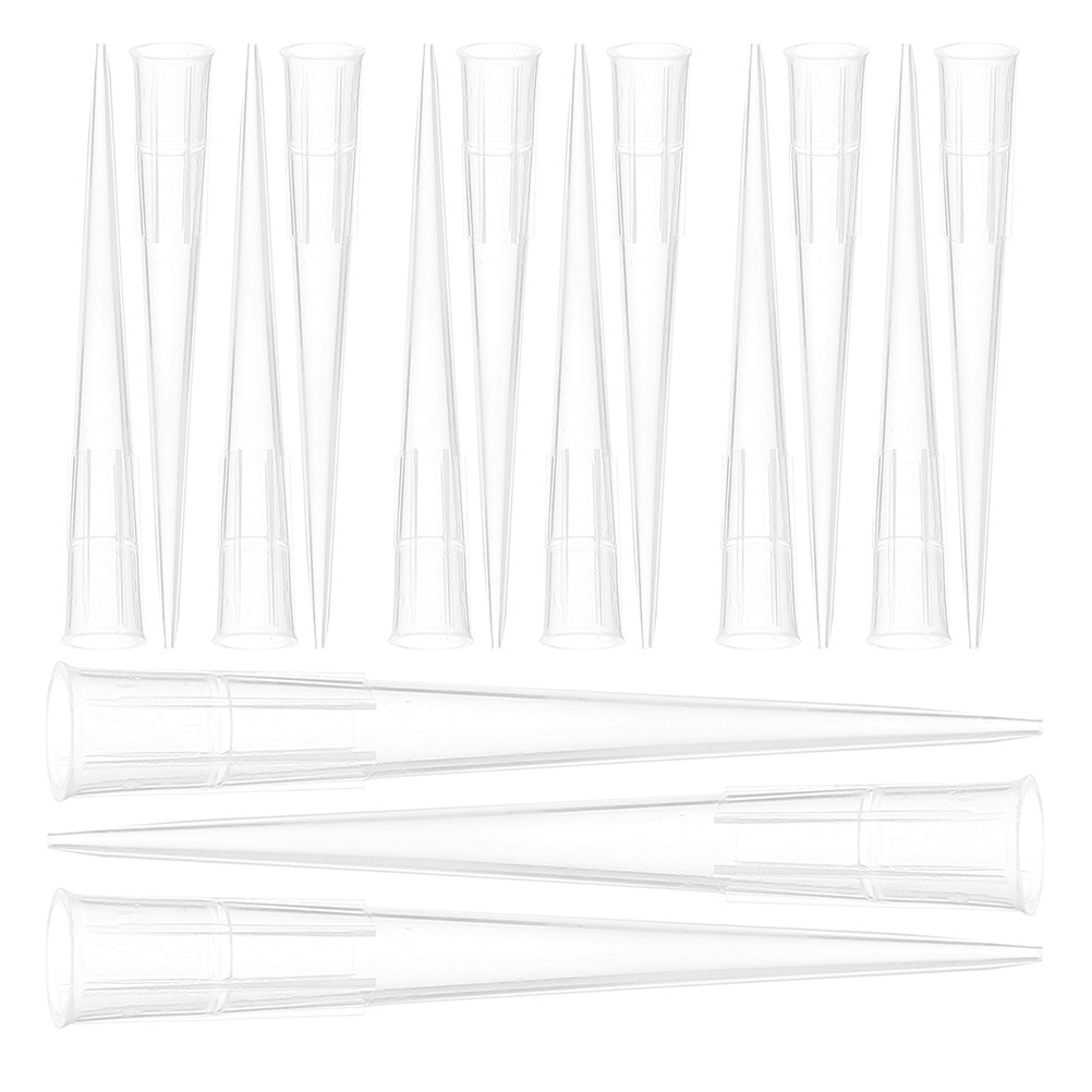 150Pcs Flower Clay Fixers Plas - Wedding Floral Supply 리뷰 및 가격