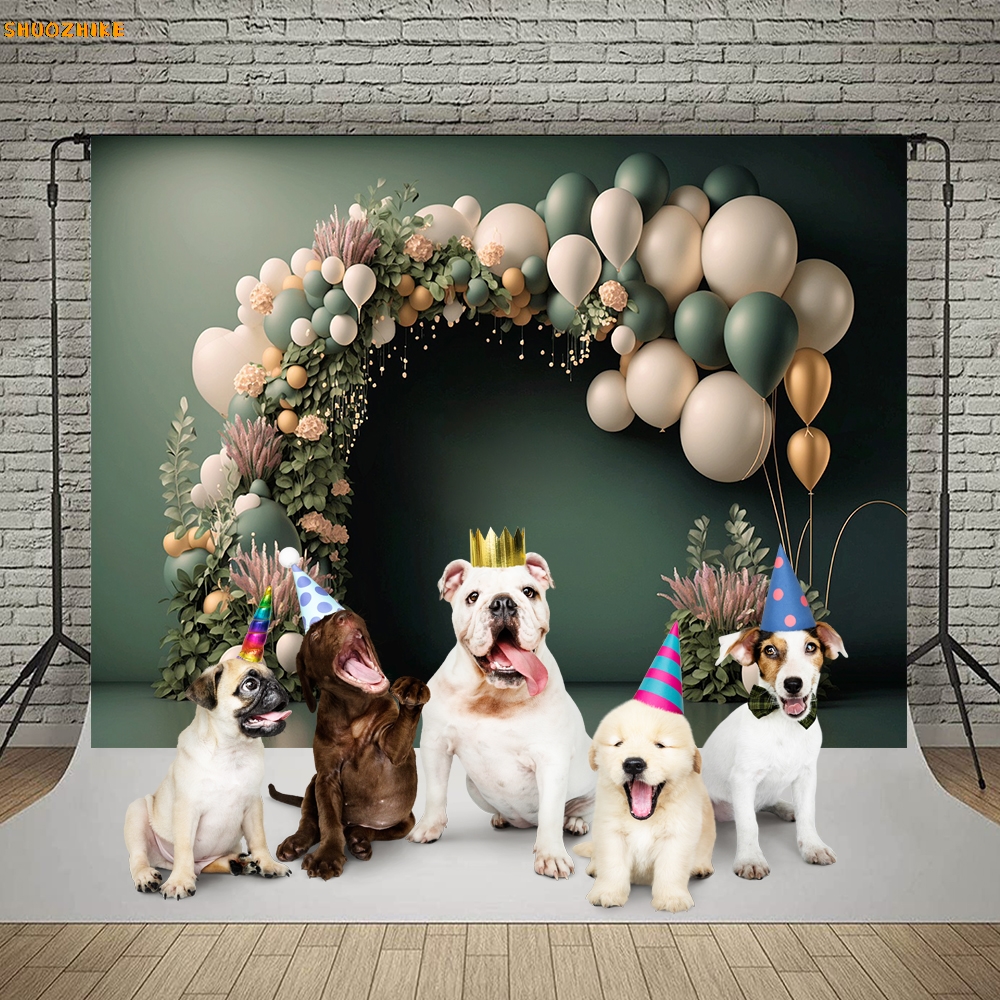 Photography Background Colorfu - Wedding Qq 리뷰 및 가격