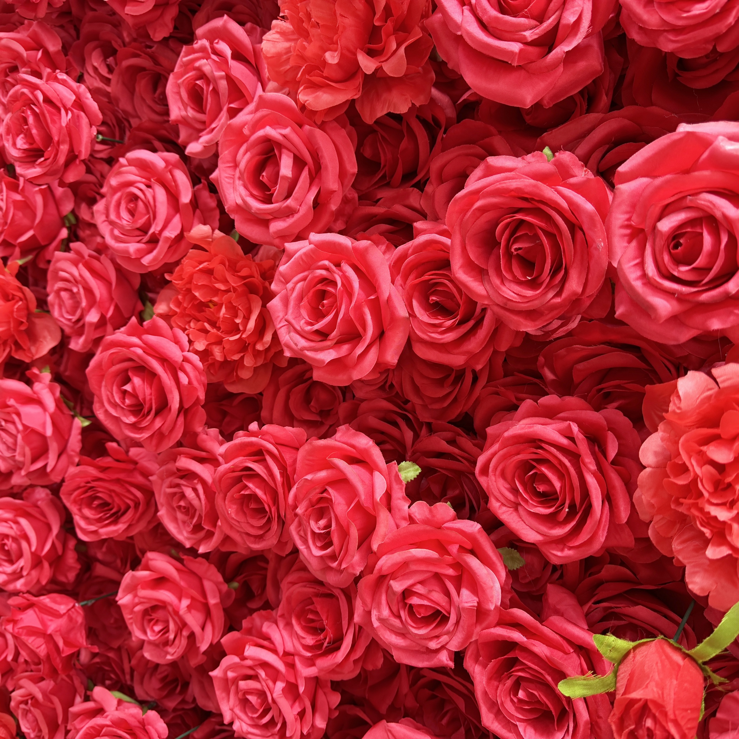 Heart Shaped Artificial Flower - Wedding Arch Flower 리뷰 및 가격