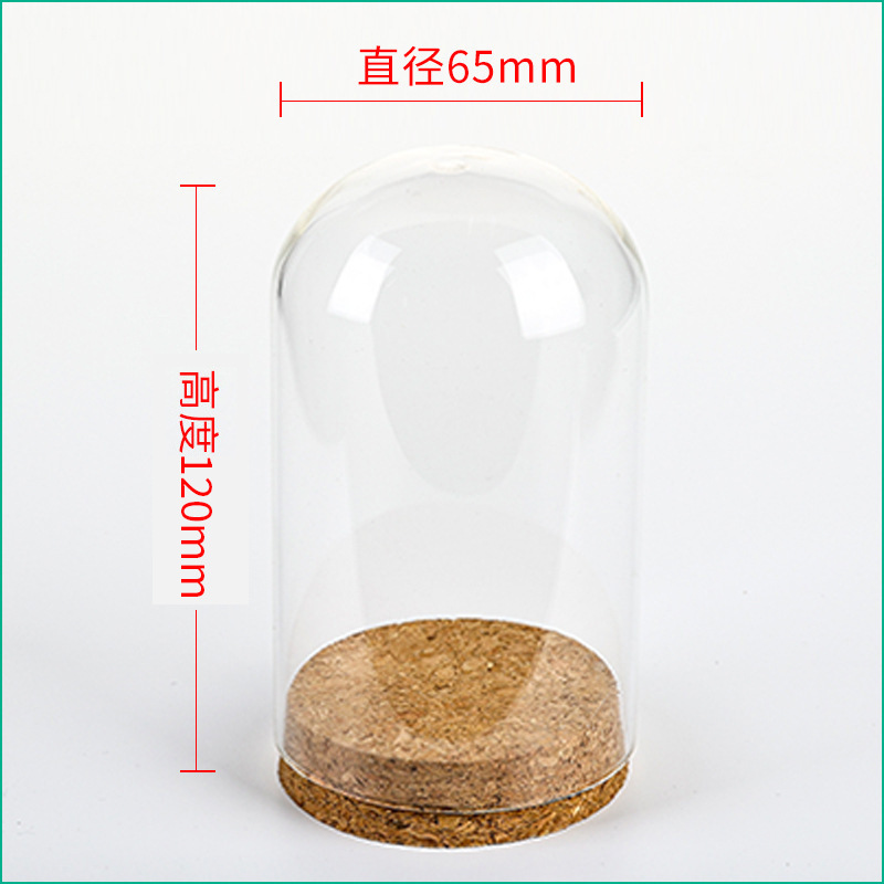 36pcs D65XH120mm Empty Clear G - Wedding Zoo 리뷰 및 가격