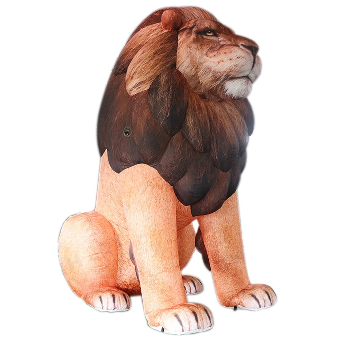 Giant LED Inflatable Lion Real - Wedding Zoo 리뷰 및 가격