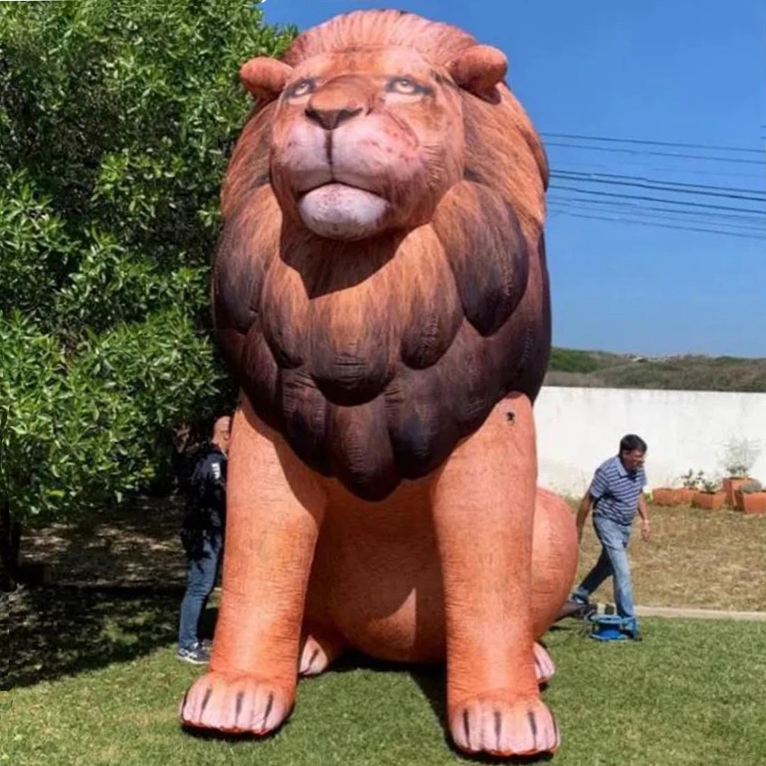 Giant LED Inflatable Lion Real - Wedding Zoo 리뷰 및 가격