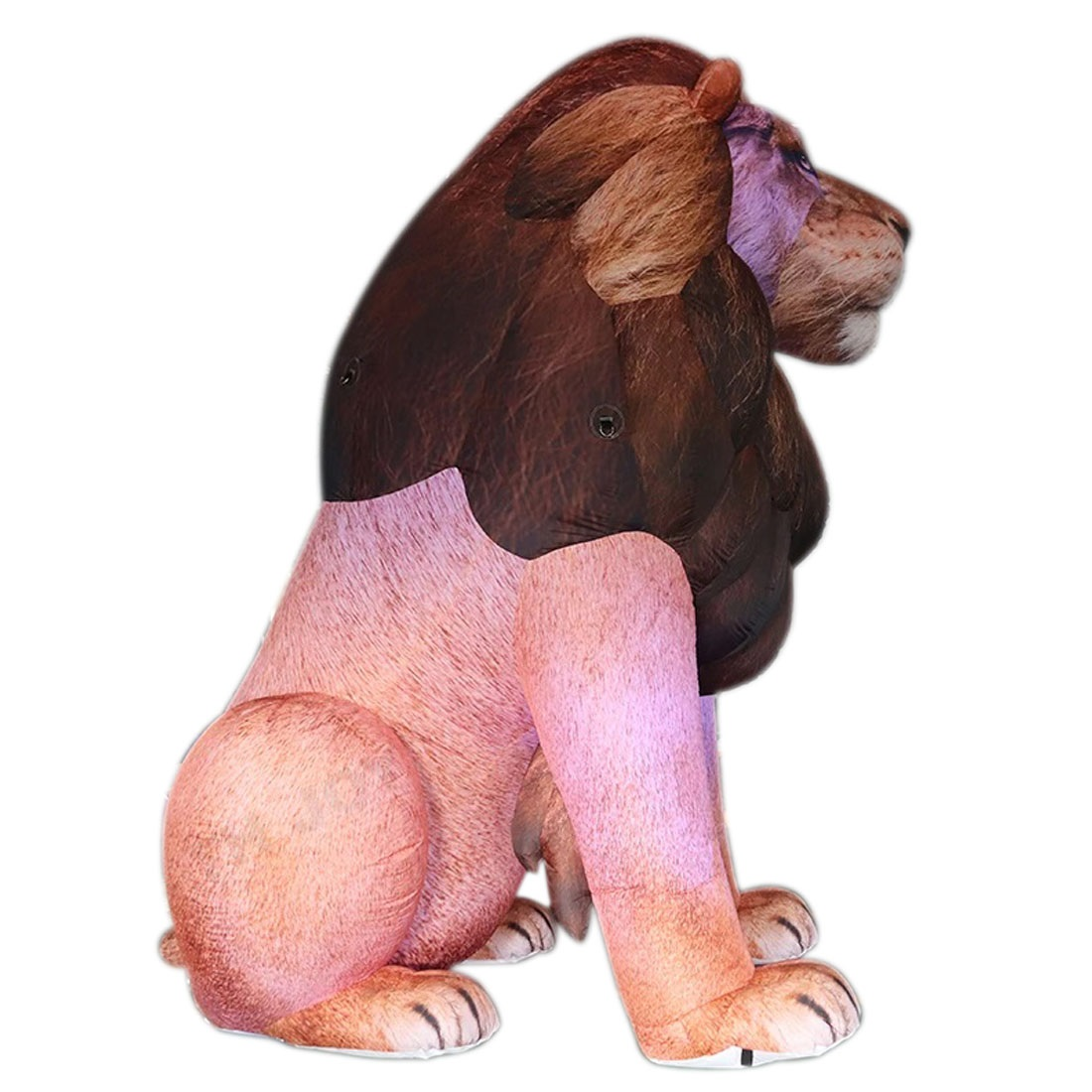 Giant LED Inflatable Lion Real - Wedding Zoo 리뷰 및 가격